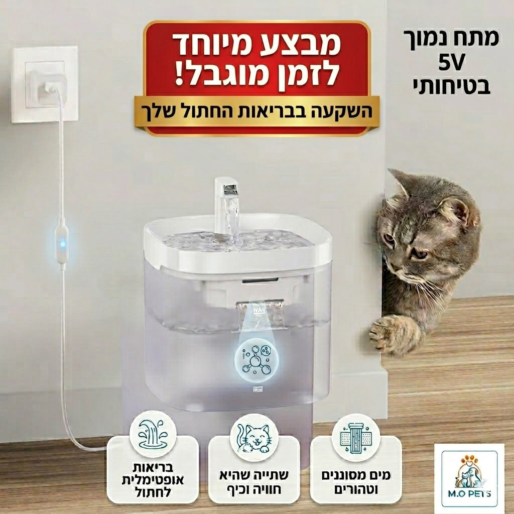 מזרקת מים חכמה לחתולים