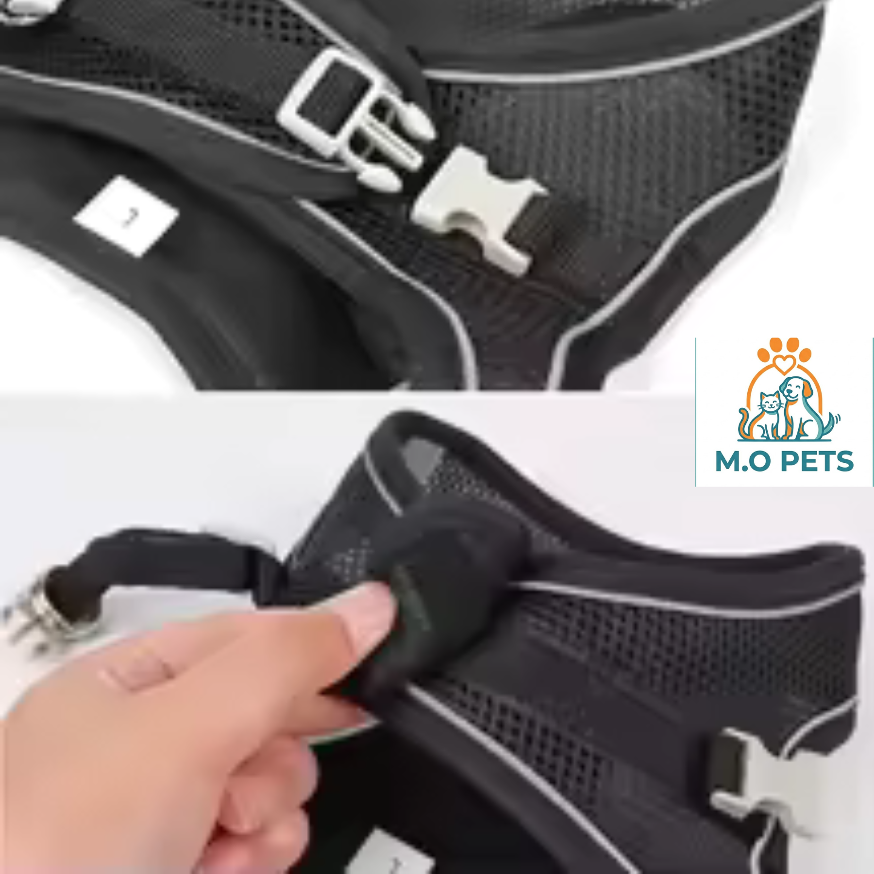 רתמה מעוצבת במיוחד לחיות מחמד קטנים