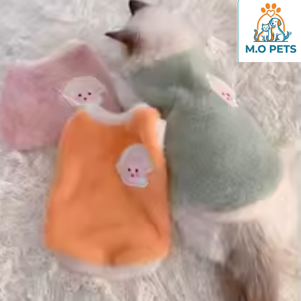 בגדי חורף לחיות מחמד בהתאמה מושלמת