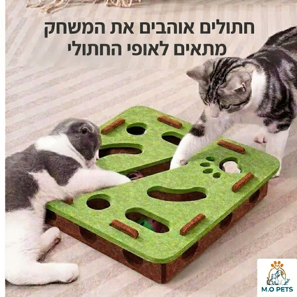 צעצוע פאזל לחתולים קופסת פאזל לבד צעצוע תרגיל לחתולים עם כדור ספורט בידור