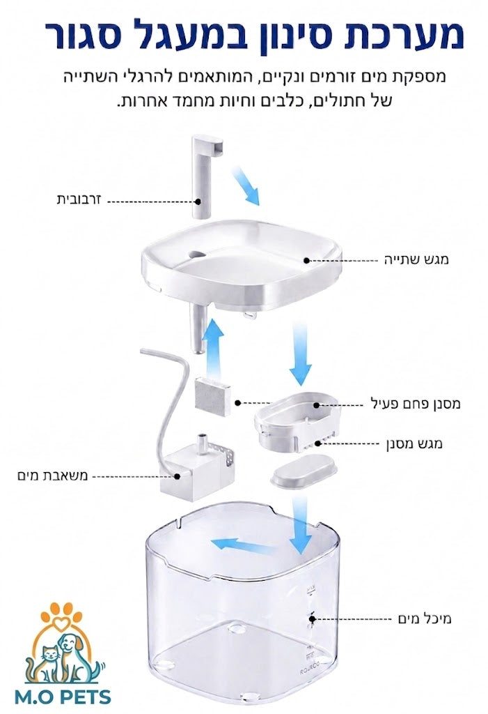 אגם-מזרקת מים חכמה לחתולים
