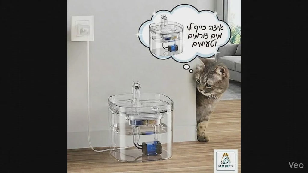 מזרקת מים חכמה לחתולים