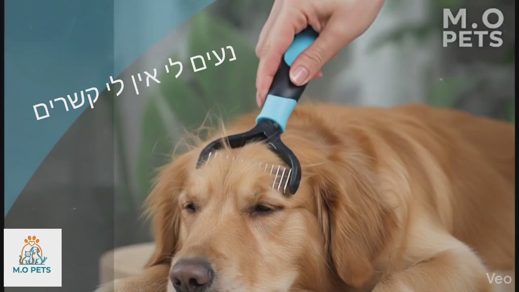 מברשת מקצועית להסרת נשירה לחיות מחמד דו צדדית מסרק כלבים מברשת לחתולים